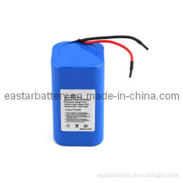 Lithium Battery Pack for Carpet Cleaner Li-ion 18650 Battery